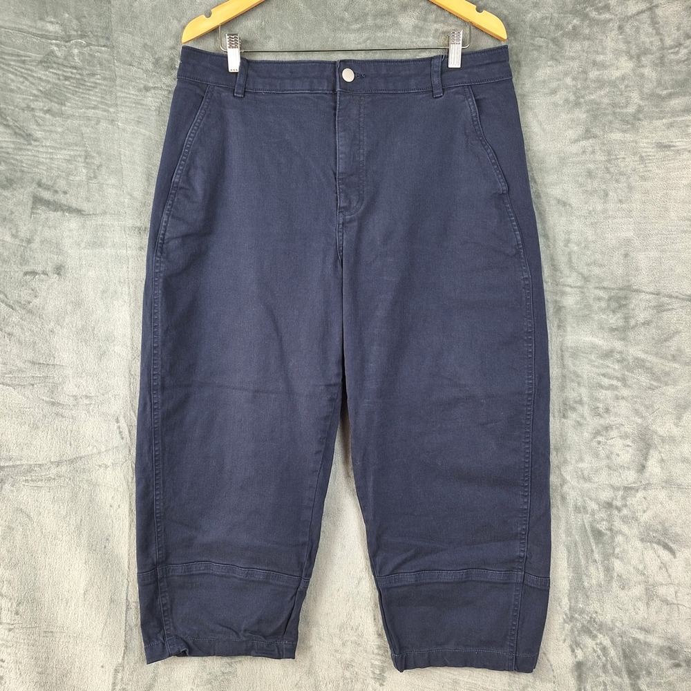 Everlane Barrel Utility Pants